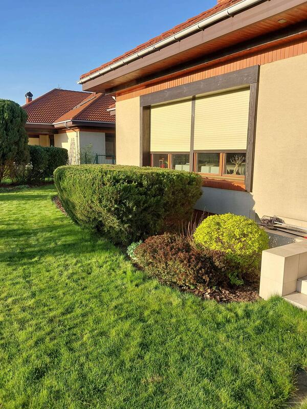 Zadbany, równo przycięty żywopłot przed domem jednorodzinnym