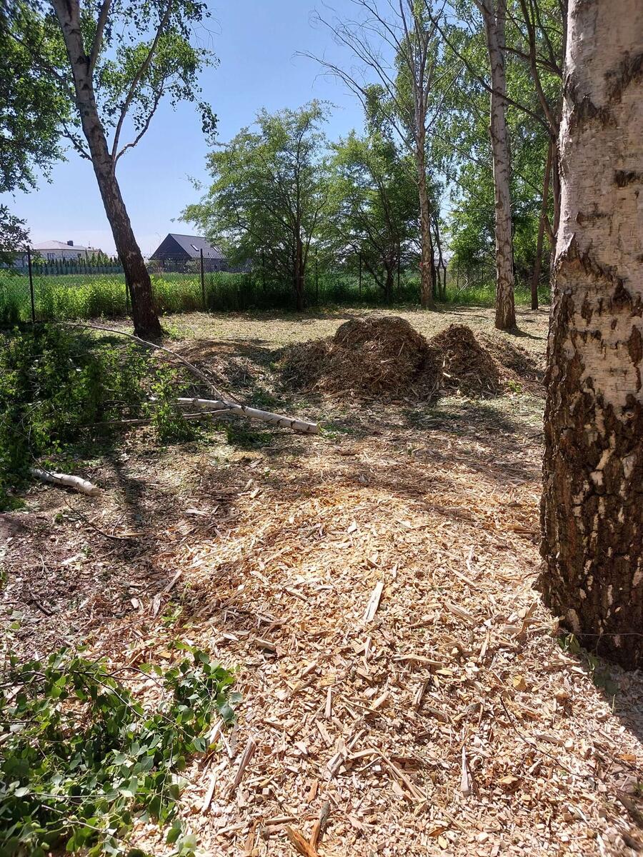 Czyszczenie działek i zakładanie trawników