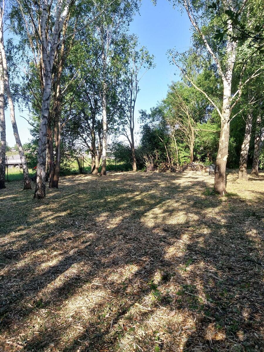 Czyszczenie działek i zakładanie trawników - zdjęcie 3